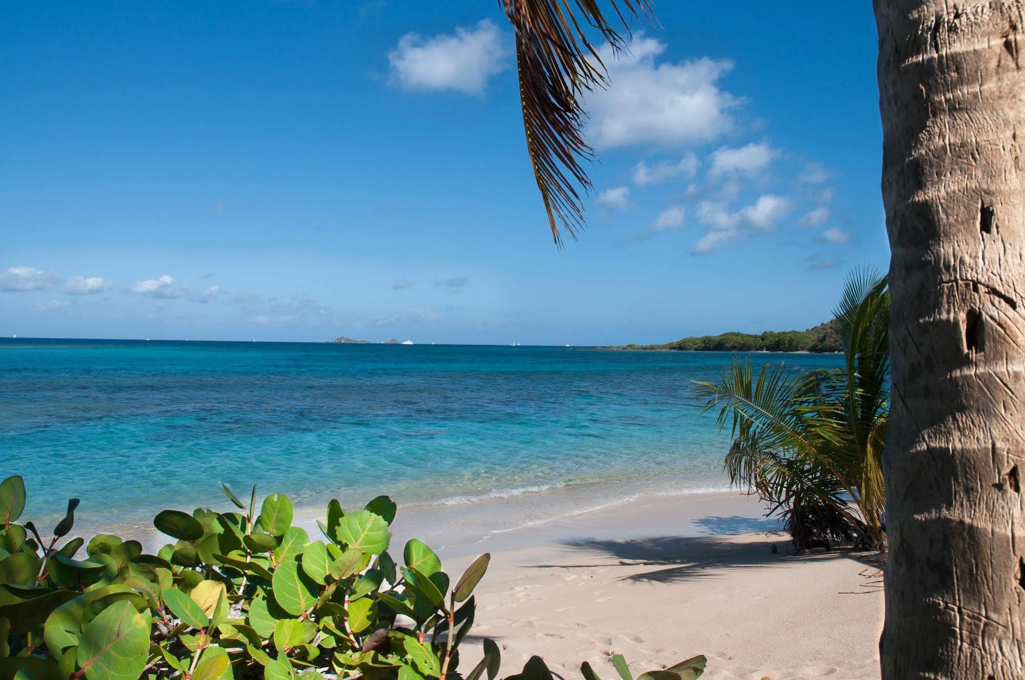 Mango Bay Resort Spanish Town Exteriér fotografie